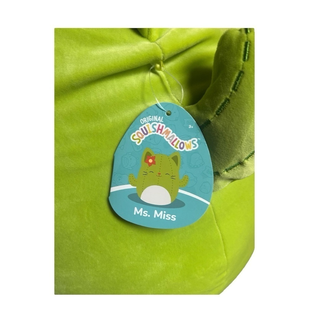 NEW Squishmallows 16” Ms. Miss Cactus Plush Stuffie - Picture 3 of 3